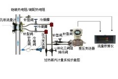 蒸汽計量系統
